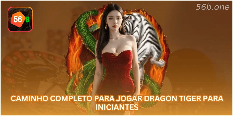 Caminho completo para jogar Dragon Tiger para iniciantes.